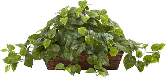 Pothos with Ledge Basket, Green,34x18x15