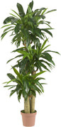Nearly Natural 62IN Artificial Corn Stalk Dracaena Plant, Tall Fake Plant for Indoor Home Décor, Real Touch Faux Plant