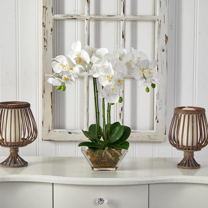 4570 Triple Phalaenopsis Orchid in Glass Vase,Green/White