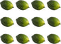 Faux Limes (Set of 12)