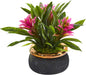 Nearly Natural 11in. Bromeliad Artificial Plant in Stoneware Planter No50