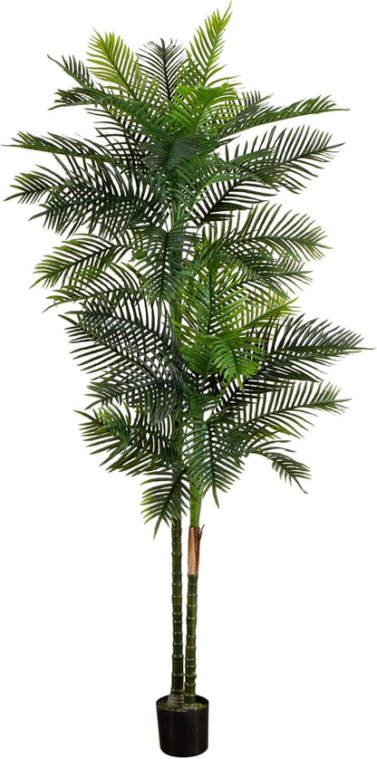 8ft. UV Resistant Artificial Double Robellini Palm Tree (Indoor/Outdoor) No50