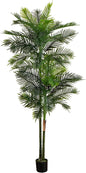 8ft. UV Resistant Artificial Double Robellini Palm Tree (Indoor/Outdoor) No50