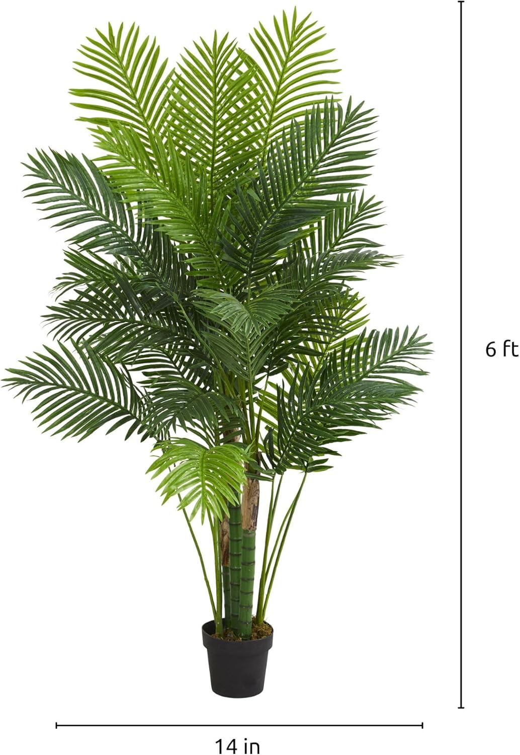 6’ Hawaii Palm Tree Artificial Plant, 6.5" D x14 W x6 Ft, Green
