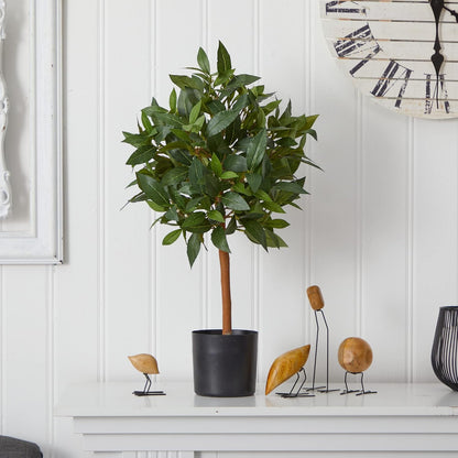 2ft. Sweet Bay Mini Ball Topiary