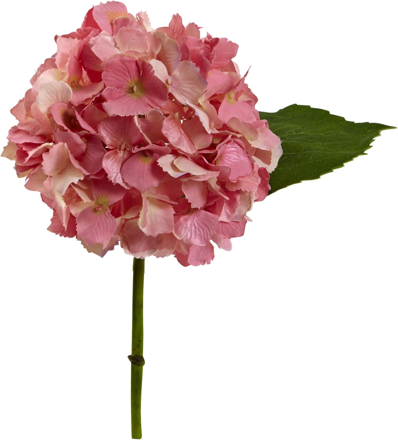 Hydrangea Flower (Set of 12) Artificial Plant, 12"H x 8"W x 6.5"D, Cream No50