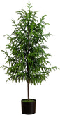 4ft. Artificial Norfolk Pine Tree