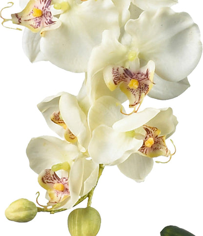 4643-WH Phalaenopsis with Glass Vase Decorative Silk Flower Arrangement, White 29 x 10.25 x 10.25 No50