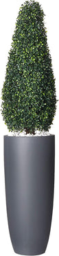 5961 50" Boxwood Topiary W/Planter (Indoor/UV Outdoor) 11.5 in x 11.5 in x 50 in No50