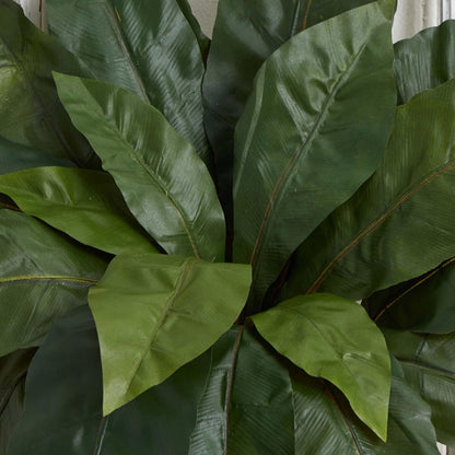23” Bird’s Nest Fern (Set of 3) Artificial Plant, Green, 3 Count