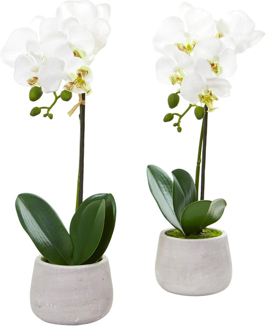 Phalaenopsis Orchid Artificial Arrangement (Set of 2)