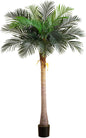 6ft. Artificial Coconut Palm Tree No50