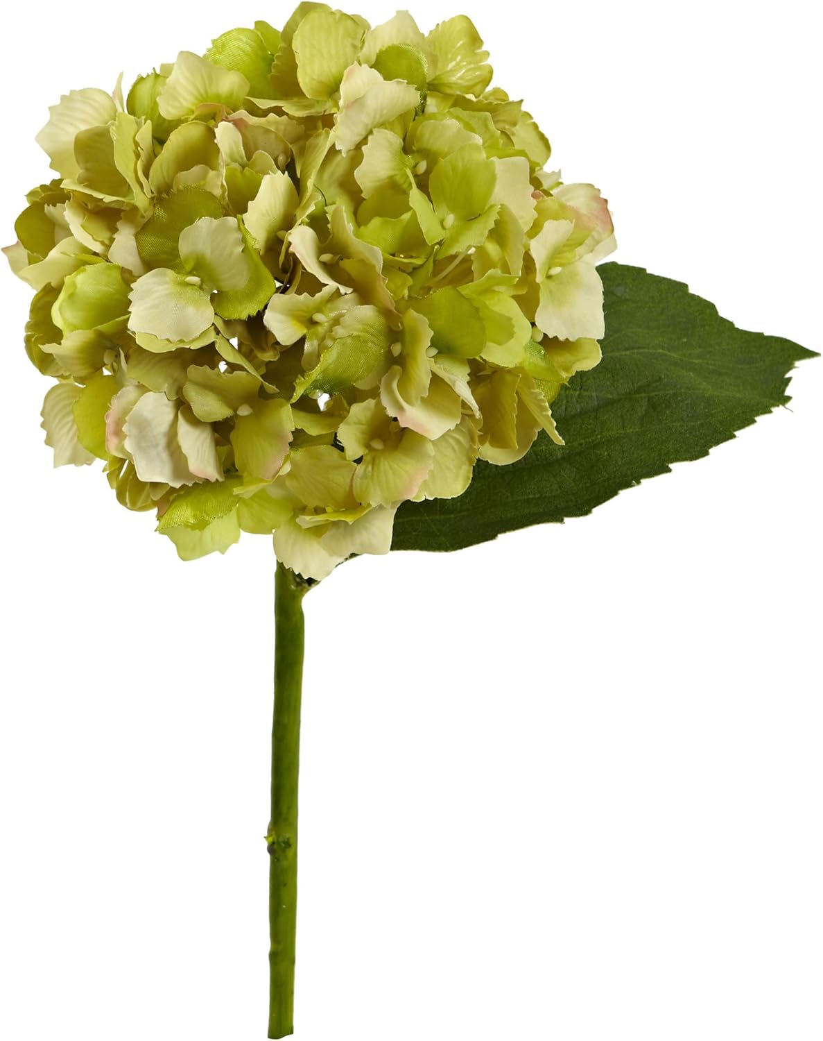 Hydrangea Flower (Set of 12) Artificial Plant, 12"H x 8"W x 6.5"D, Cream No50