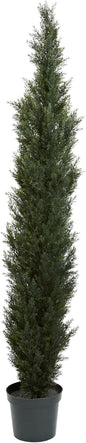 7ft. Mini Cedar Pine Tree with 3614 Tips in 12in. Pot (Two Tone Green)