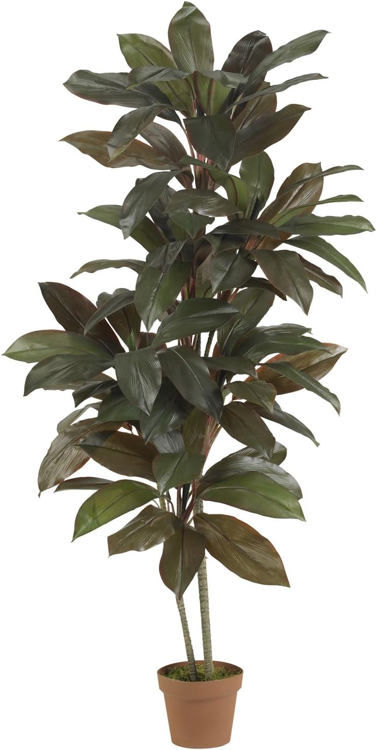 5ft. Cordyline Silk Plant (Real Touch) No50