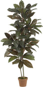 5ft. Cordyline Silk Plant (Real Touch) No50