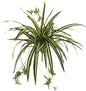 6607 Spider Hanging Basket Decorative Silk Plant, Green,10.25" x 10.25" x 17.5" No50