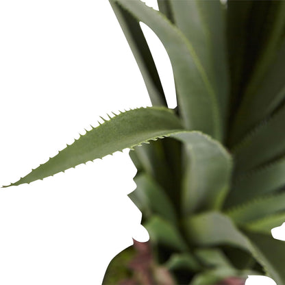 4' Spiked Agave Plant, Green