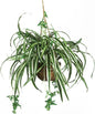 6607 Spider Hanging Basket Decorative Silk Plant, Green,10.25" x 10.25" x 17.5" No50