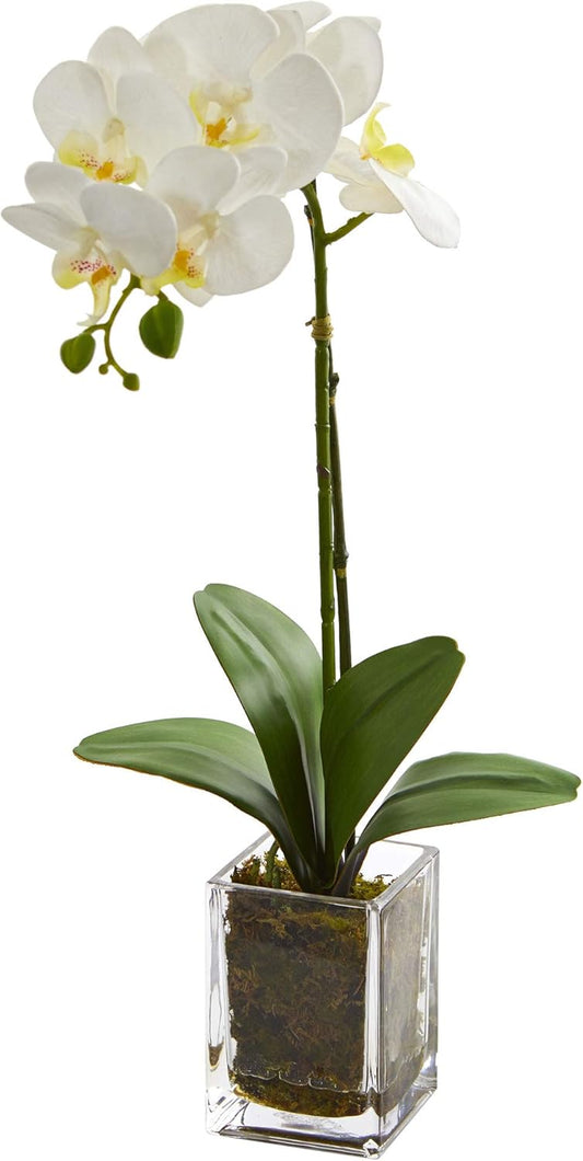 24-in. Orchid Phalaenopsis Artificial Vase Silk Arrangements, Cream No50