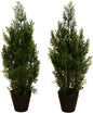 Nearly Natural 2ft UV Resistant Artificial Cedar Pine Tree - Indoor/Outdoor Faux Greenery Decor, Set of 2, Deep Green Cedar Leaves, No Maintenance Req