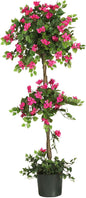 5228 Mini Bougainvillea Topiary Beauty, 5-Feet,9" x 9" x 62.5" , Green