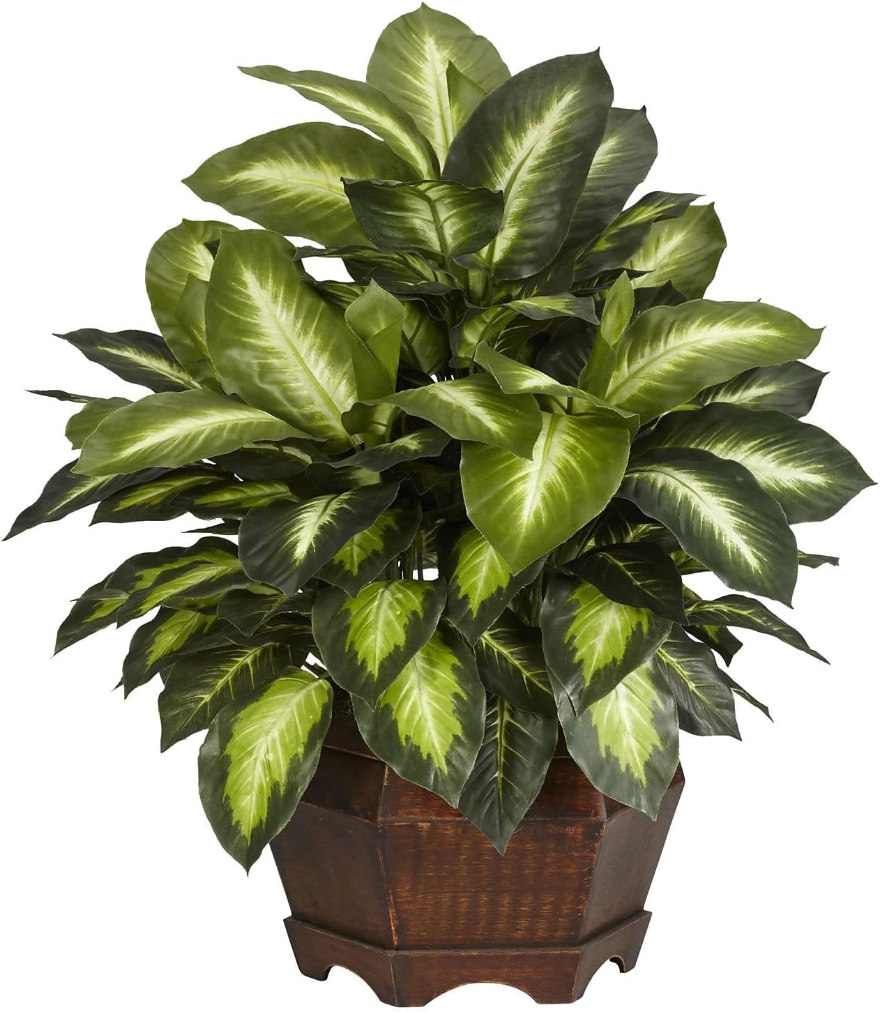 6639 24in. Golden Dieffenbachia Silk Plant, Green
