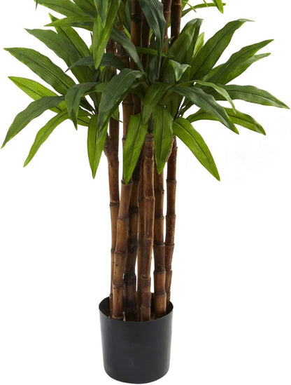 5403 Dracaena Tree, 6.5-Feet, Green,84" x 8" x 8"