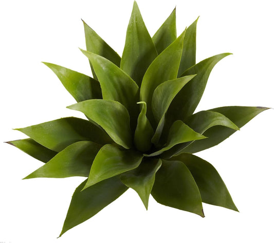 17in. Agave Succulent Plant (Set of 2)