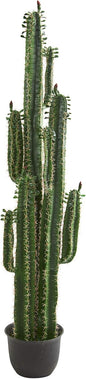 6.5ft. Cactus Artificial Plant