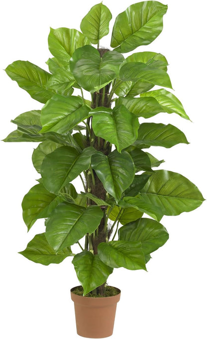 Large Leaf Philodendron Silk Plant (Real Touch) No50