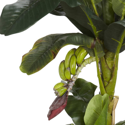 5ft. + 3ft. Banana Silk Tree with Bananas