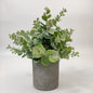 20cm Artificial Eucalyptus Potted Plant | Eco-Friendly Pulp Pot | Nordic/Ins Style Home Decor | Faux Greenery