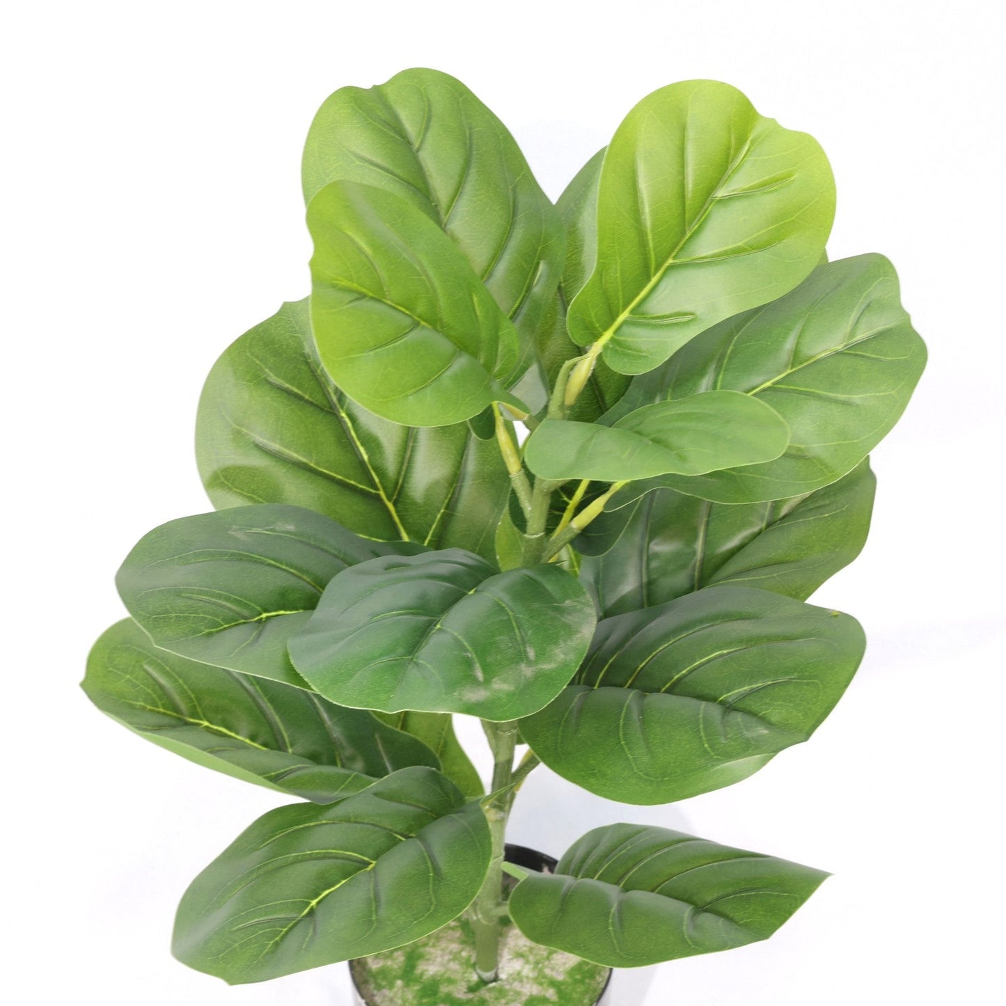 Ficus Lyrata Mini Artificiale 55cm con 16 Grandi Foglie Verdi Scuro, Pianta Finta in Vaso per Decorazione Tavolo Natale