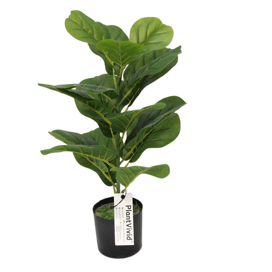 Ficus Lyrata Mini Artificiale 55cm con 16 Grandi Foglie Verdi Scuro, Pianta Finta in Vaso per Decorazione Tavolo Natale