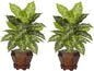 Dieffenbachia with Wood Vase Silk Plant (Set of 2) No50