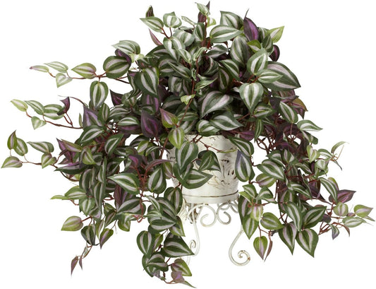 Wandering Jew with Metal Planter Silk Plant