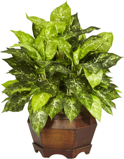 Dieffenbachia with Wood Vase Silk Plant (Set of 2) No50