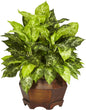 Dieffenbachia with Wood Vase Silk Plant (Set of 2) No50