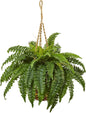Boston Fern Hanging Basket No50
