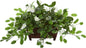 Mix Stephanotis Artificial Plant in Decorative Planter