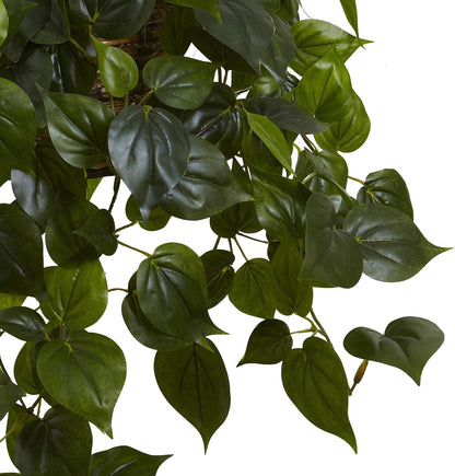 Philodendron Hanging Basket UV Resistant (Indoor/Outdoor)