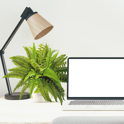 6308 Boston Fern in White Planter Artificial Plant, Green