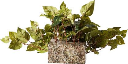 15in. Pothos Ledge Plant (Set on Foam) Silk Plant,Green Pothos with Ledge Basket, Green,34x18x15