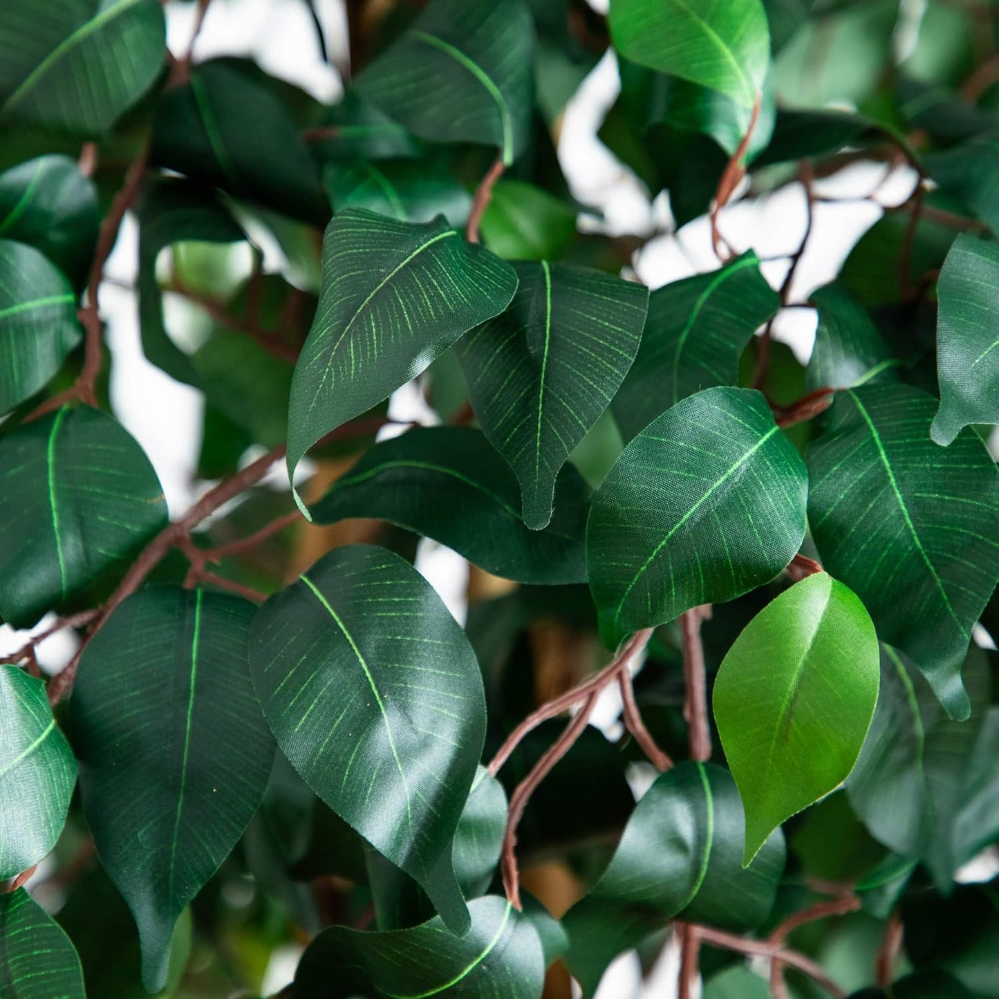 Nearly Natural 74-Inch Triple Trunk Artificial Ficus Tree with Natural Wood Trunks, Fake Tree for Indoor Home Décor, Faux Ficus Tree with Black Nurser No50