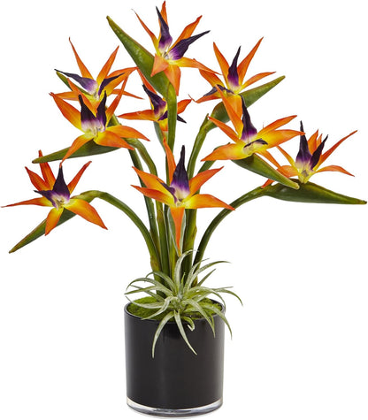 Bird of Paradise Silk Arrangement in Black Glossy Cylinder