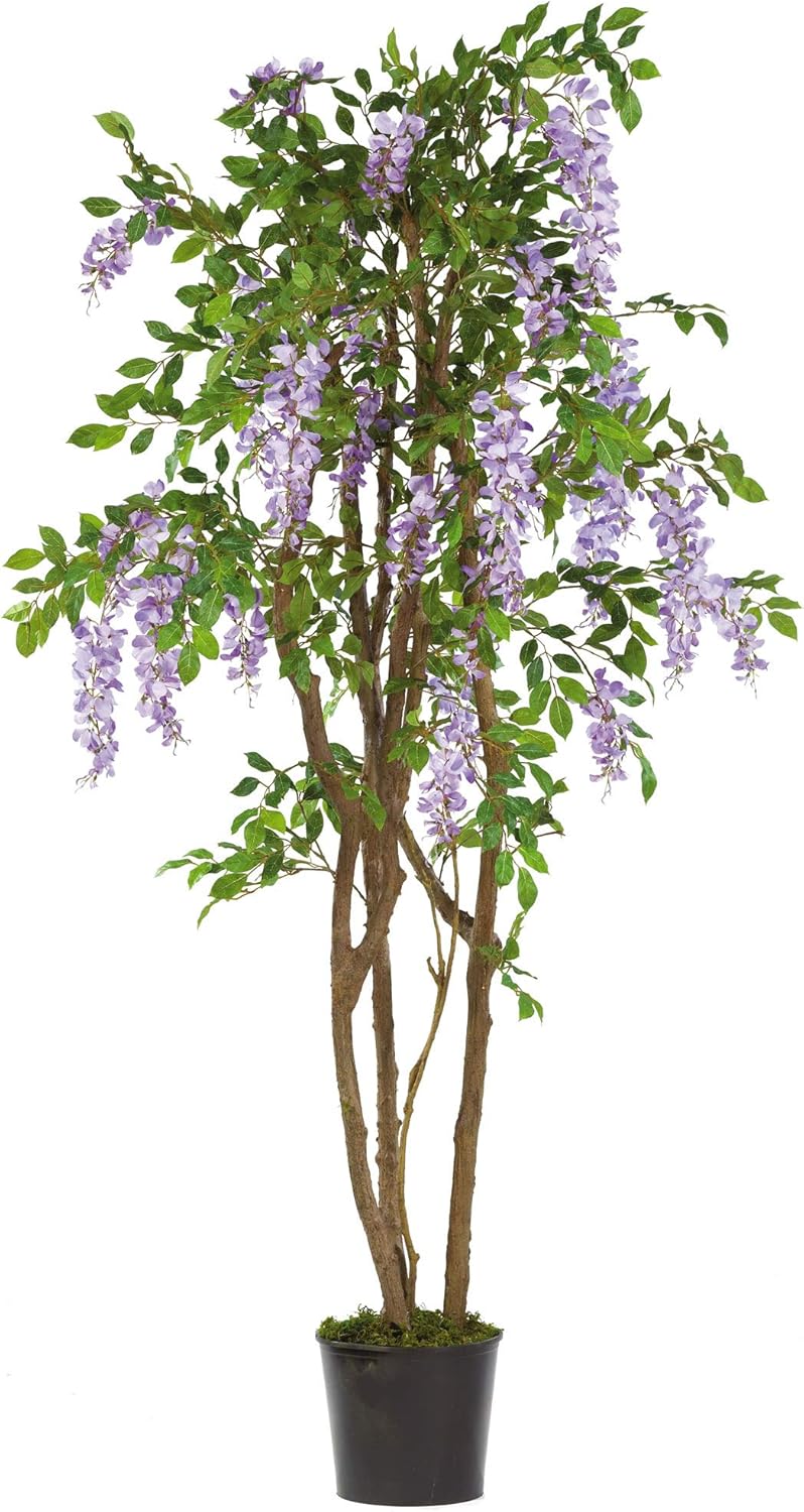 5ft. Wisteria Silk Tree