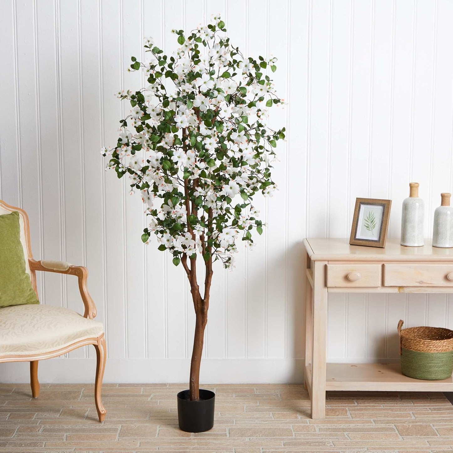 5ft. Dogwood Silk Tree