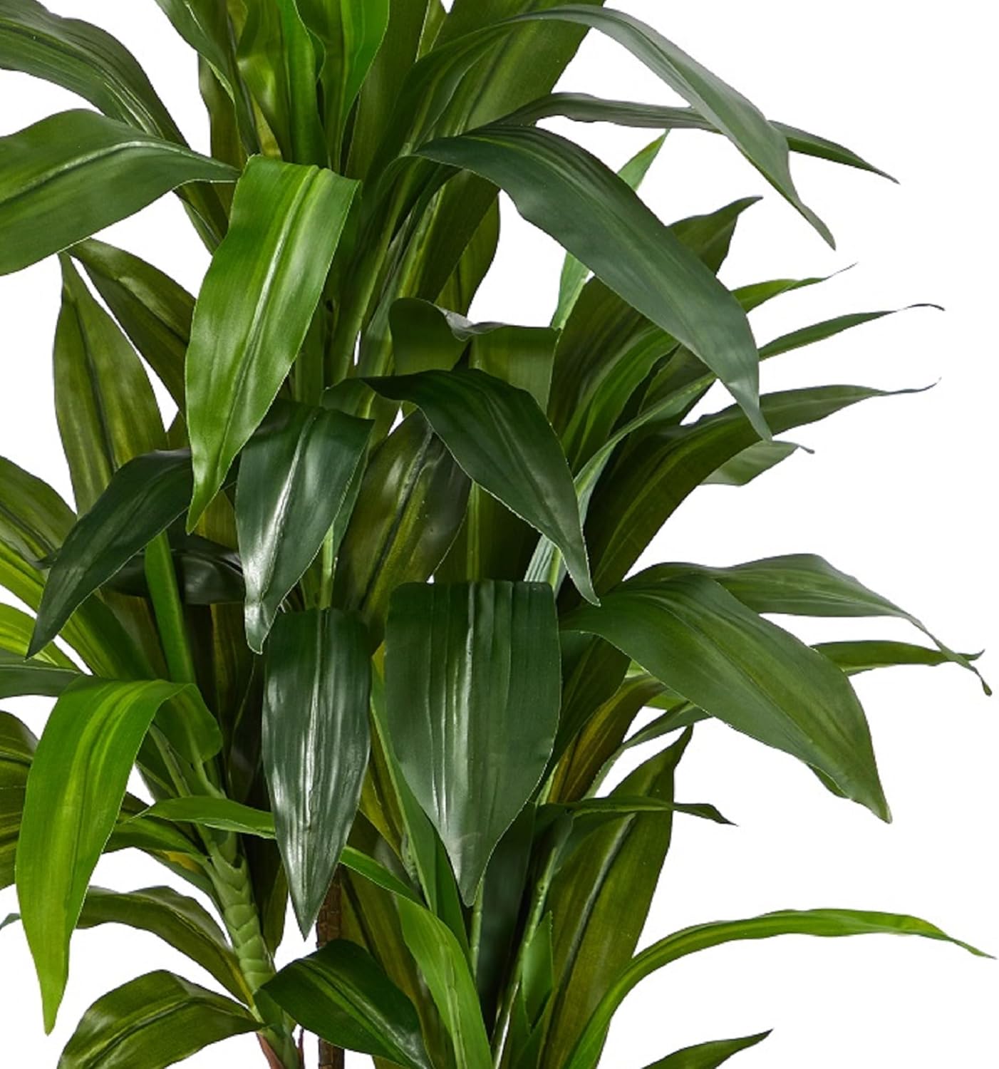 Nearly Natural 48" Dracaena Silk Plant (Real Touch) Green