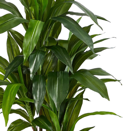 Nearly Natural 48" Dracaena Silk Plant (Real Touch) Green